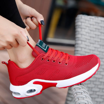Product model 6
