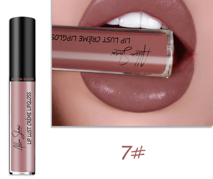 Silky cream texture lip gloss product image showing the packaging for daily makeup and beauty routines and product reference.