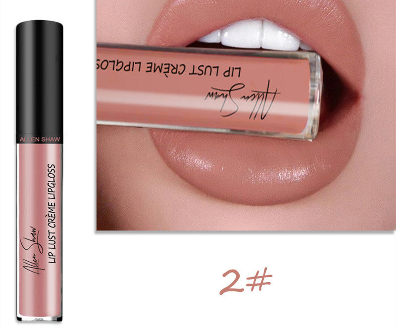 Silky lip glaze cosmetic product image showing cosmetic packaging for daily makeup and beauty routines and product reference.