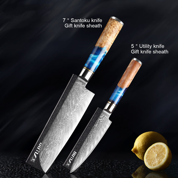Professional Kitchen Knife Set Stainless Steel Chef Knives