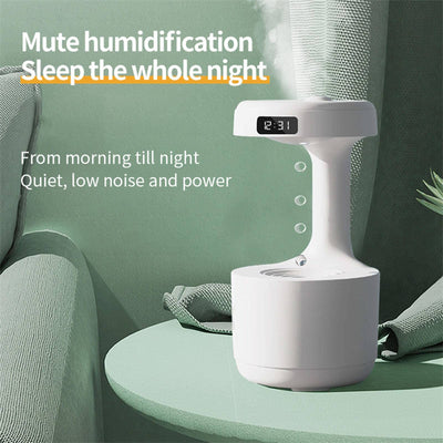 Product model 5