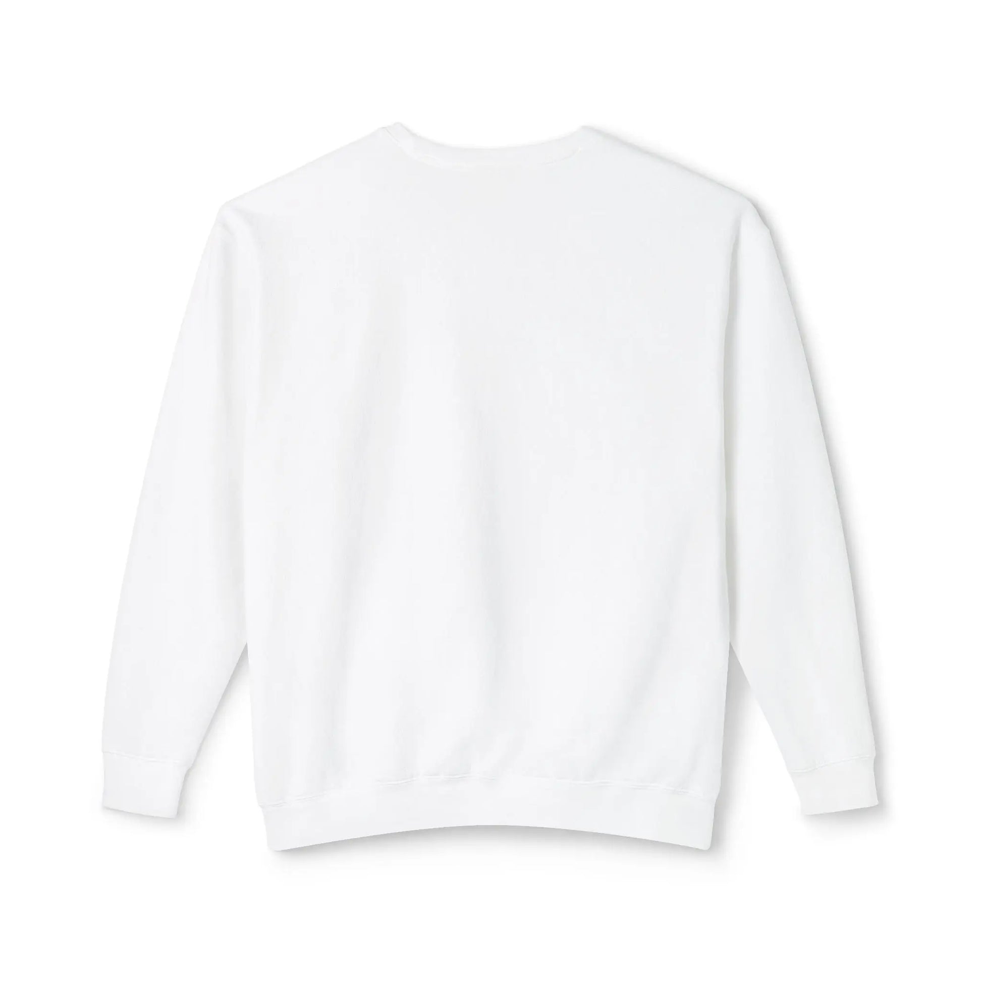 Plain white sweatshirt back view no dog design