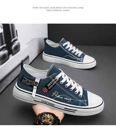 Product model 24