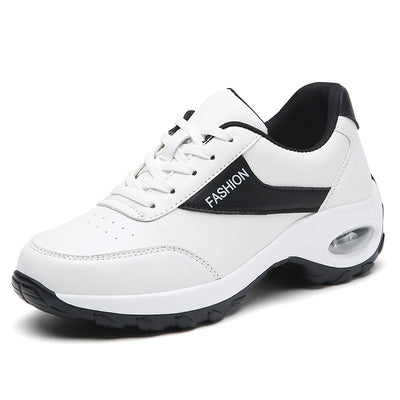 Product model 6