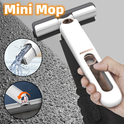 Product model 1