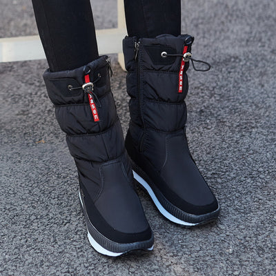 Product model 20