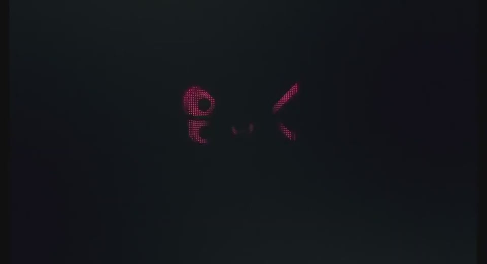 365593031609.mp4