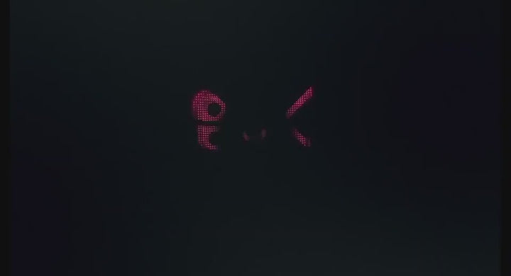 365593031609.mp4
